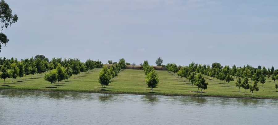 4 Bedroom Property for Sale in Oranjeville Free State